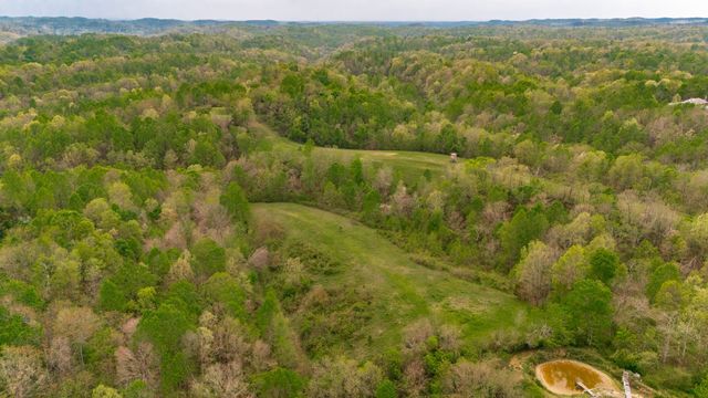 1103 Johnny Spears Rd, Westmoreland, TN 37186