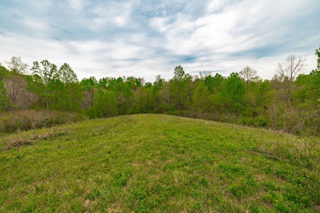 1103 Johnny Spears Rd, Westmoreland, TN 37186