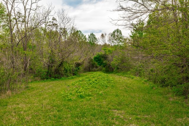 1103 Johnny Spears Rd, Westmoreland, TN 37186