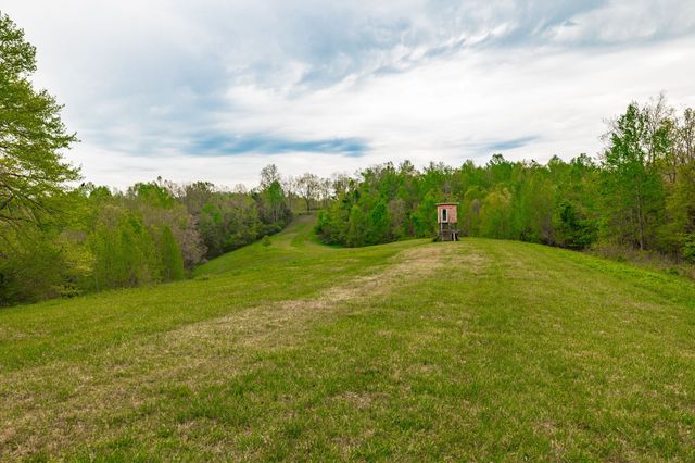 1103 Johnny Spears Rd, Westmoreland, TN 37186
