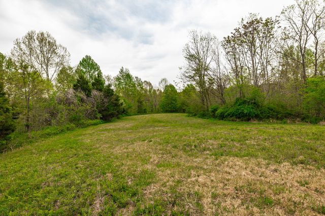 1103 Johnny Spears Rd, Westmoreland, TN 37186