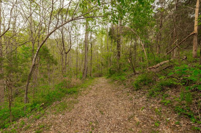 1103 Johnny Spears Rd, Westmoreland, TN 37186