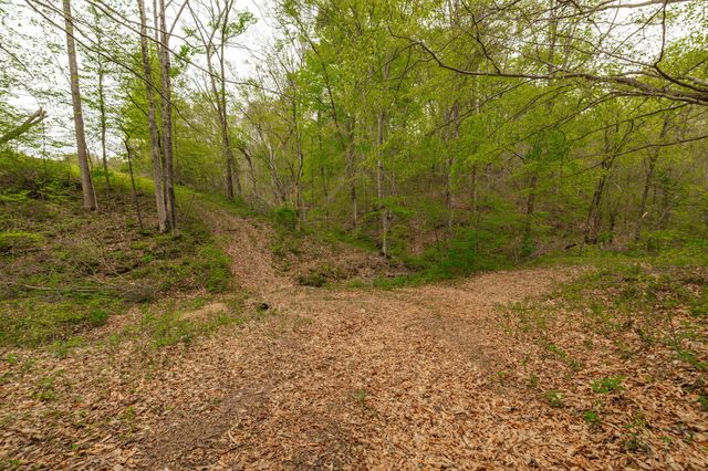 1103 Johnny Spears Rd, Westmoreland, TN 37186