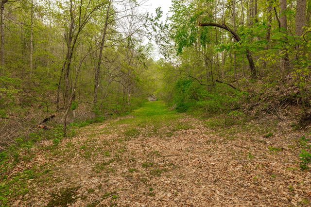 1103 Johnny Spears Rd, Westmoreland, TN 37186