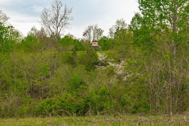 1103 Johnny Spears Rd, Westmoreland, TN 37186