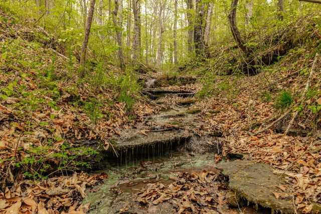 1103 Johnny Spears Rd, Westmoreland, TN 37186