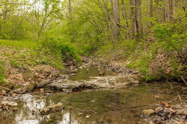 1103 Johnny Spears Rd, Westmoreland, TN 37186