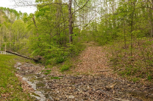 1103 Johnny Spears Rd, Westmoreland, TN 37186