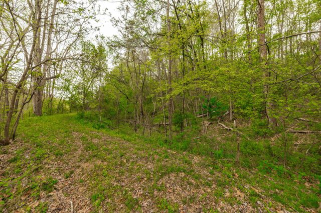 1103 Johnny Spears Rd, Westmoreland, TN 37186