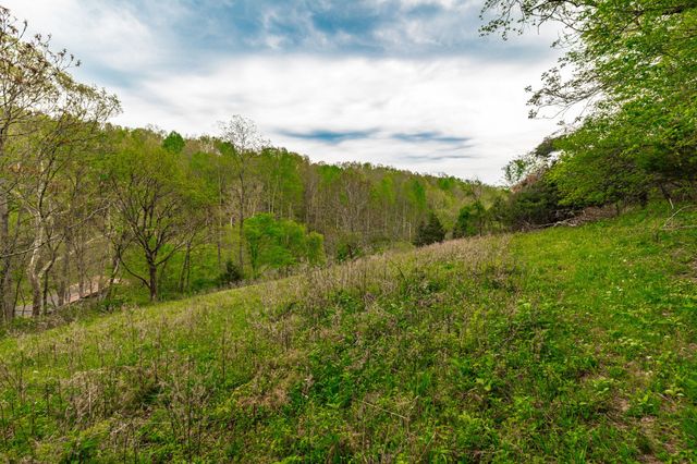 1103 Johnny Spears Rd, Westmoreland, TN 37186