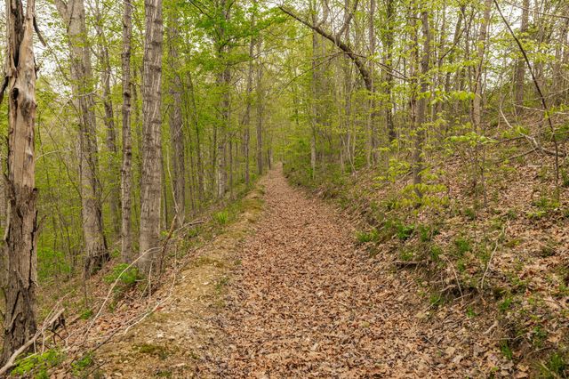 1103 Johnny Spears Rd, Westmoreland, TN 37186