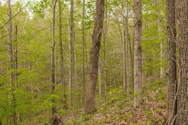 1103 Johnny Spears Rd, Westmoreland, TN 37186