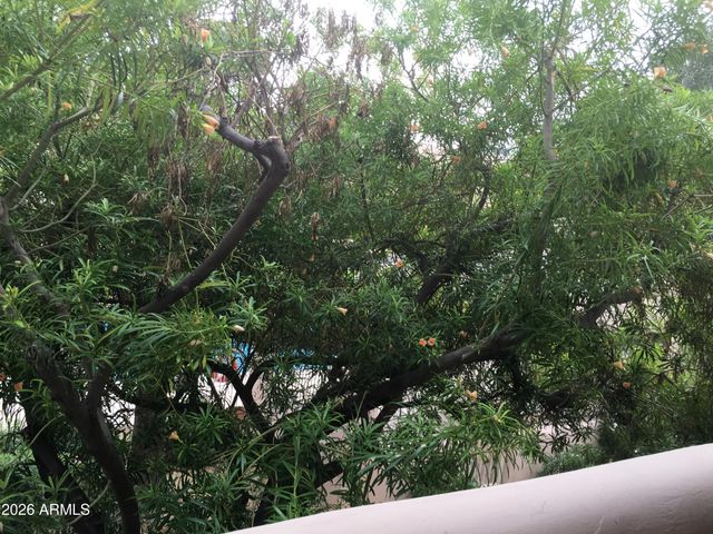 1449 E HIGHLAND Avenue 6, Phoenix, AZ 85014