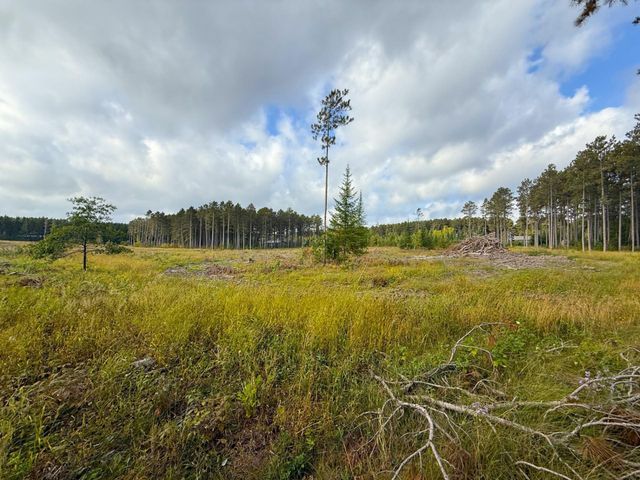 xxx County Road 119, Nevis, MN 56467