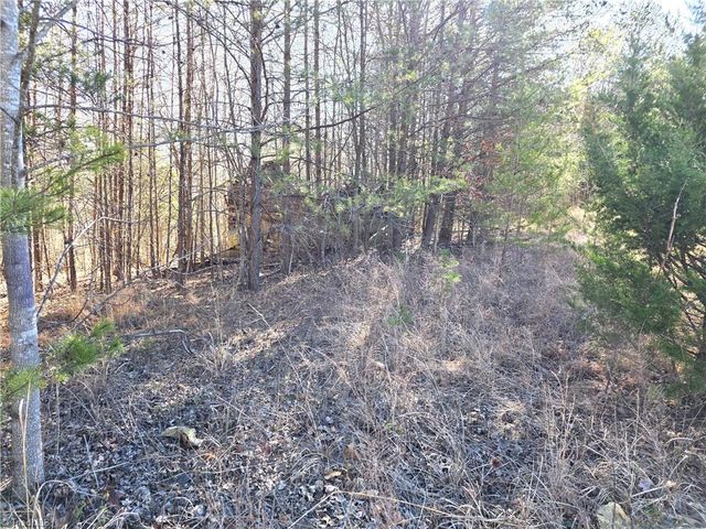 xx- 17.5 acres+- NC Highway 268, Pinnacle, NC 27043