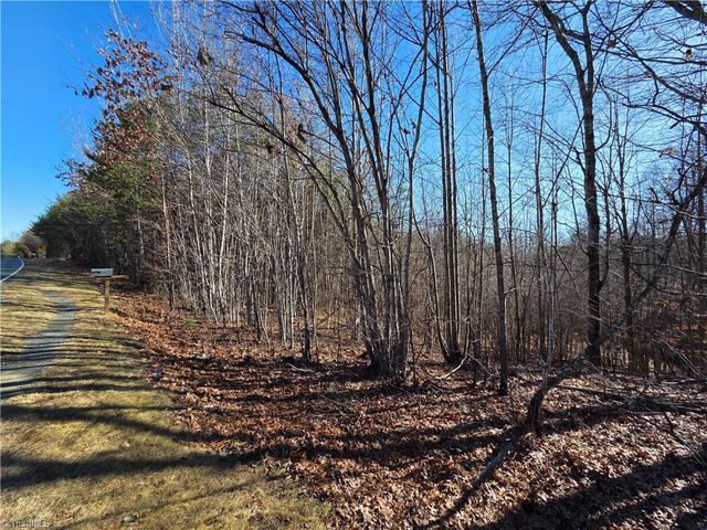 xx- 17.5 acres+- NC Highway 268, Pinnacle, NC 27043