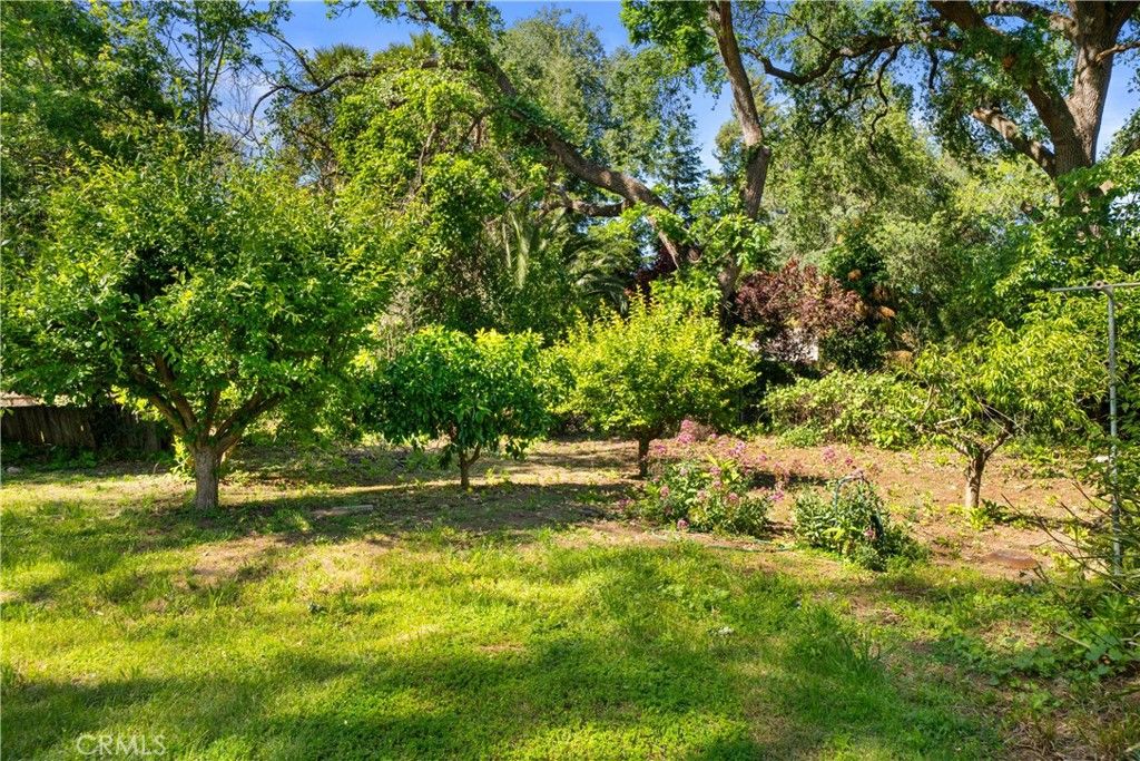 Image 44 of property listing at 1242 Bidwell Avenue, Chico, CA 95926