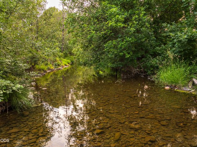 8489 Redwood Highway, Wilderville, OR 97543