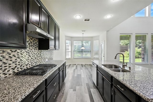 1117 Cypress Hill Drive, Little Elm, TX 75068
