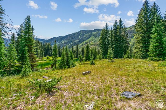 9530 PINE WAY, Oakley, UT 84055