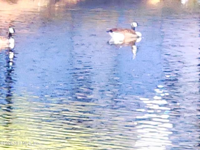 375 GREENCASTLE Road 72, Jacksonville, FL 32225