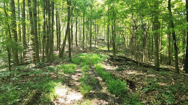 0 Thomas Road, Laurelville, OH 43135