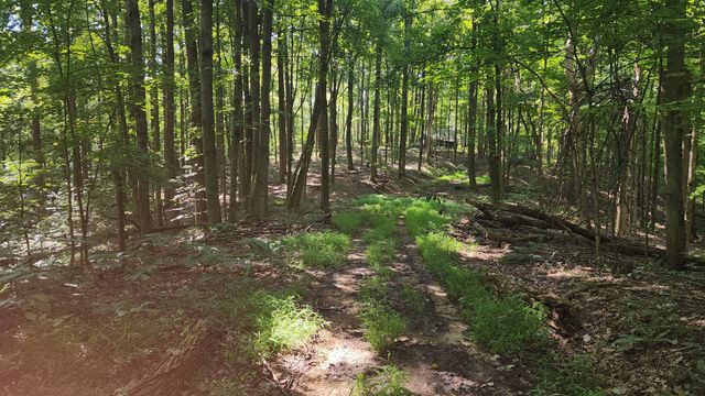 0 Thomas Road, Laurelville, OH 43135