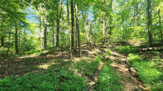 0 Thomas Road, Laurelville, OH 43135