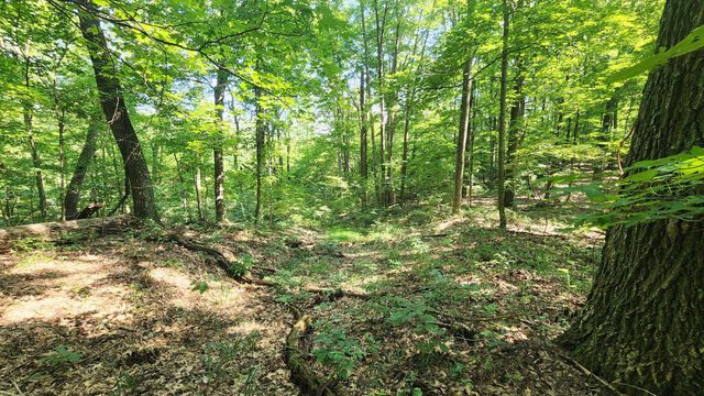 0 Thomas Road, Laurelville, OH 43135