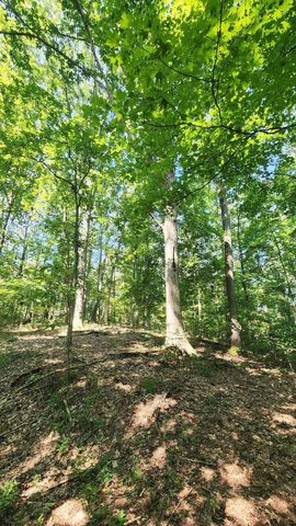 0 Thomas Road, Laurelville, OH 43135