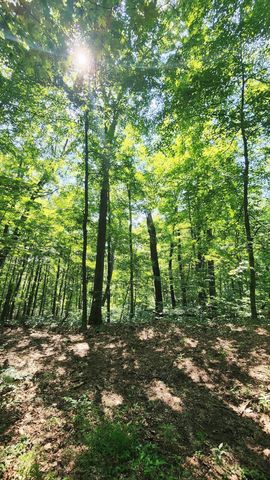 0 Thomas Road, Laurelville, OH 43135