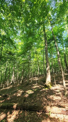 0 Thomas Road, Laurelville, OH 43135