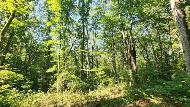 0 Thomas Road, Laurelville, OH 43135