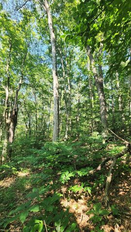 0 Thomas Road, Laurelville, OH 43135