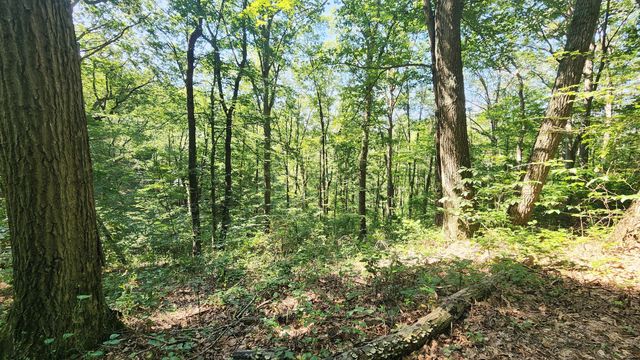 0 Thomas Road, Laurelville, OH 43135