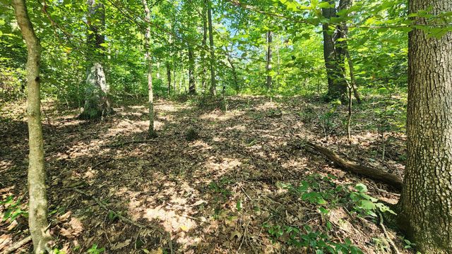 0 Thomas Road, Laurelville, OH 43135
