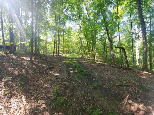0 Thomas Road, Laurelville, OH 43135