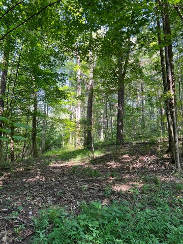 0 Thomas Road, Laurelville, OH 43135