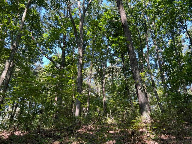 0 Thomas Road, Laurelville, OH 43135