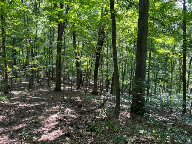 0 Thomas Road, Laurelville, OH 43135