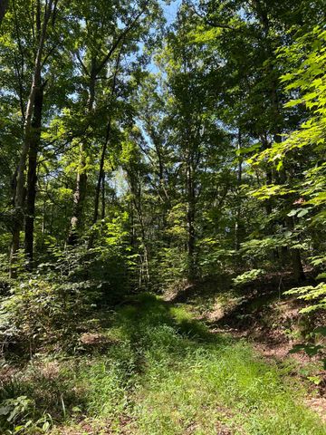 0 Thomas Road, Laurelville, OH 43135