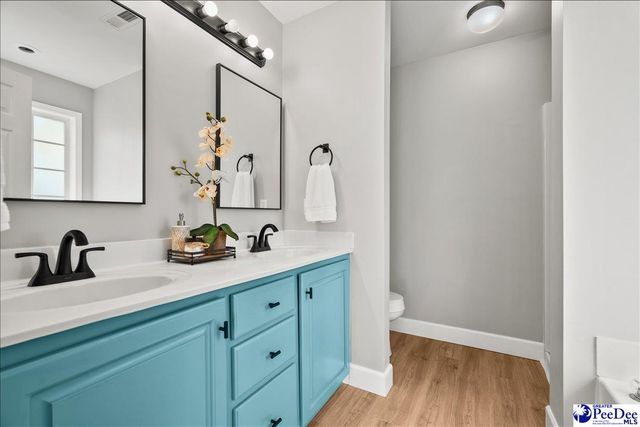 2932 Bentgrass CT, Effingham, SC 29541