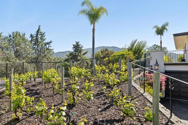 15715 Gum Tree Lane, Los Gatos, CA 95032
