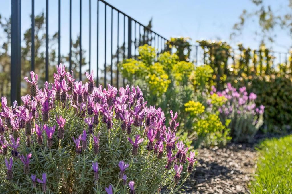 Image 127 of property listing at 15715 Gum Tree Lane, Los Gatos, CA 95032