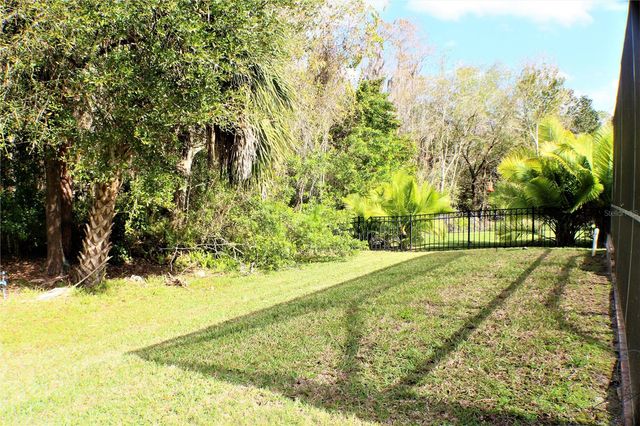11609 GREENSLEEVE AVENUE, Tampa, FL 33626