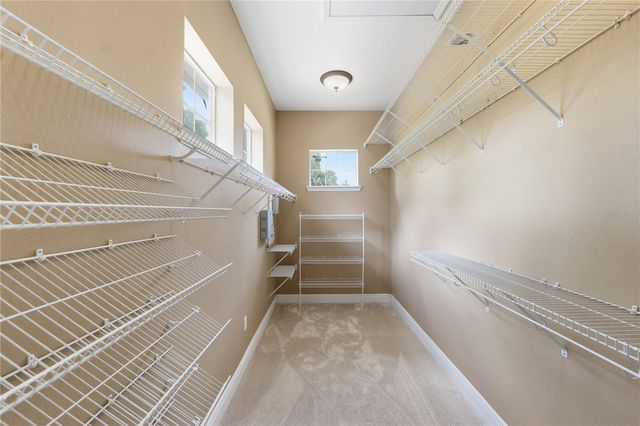 10307 RECLINATA LANE, Tampa, FL 33618