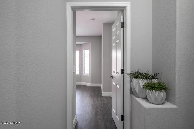 3649 S LOBACK Lane, Gilbert, AZ 85297