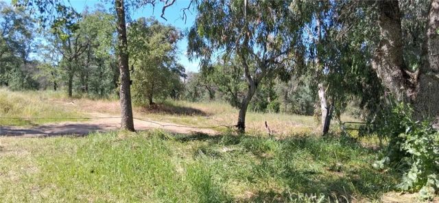 35778 Wells Road, Coarsegold, CA 93614