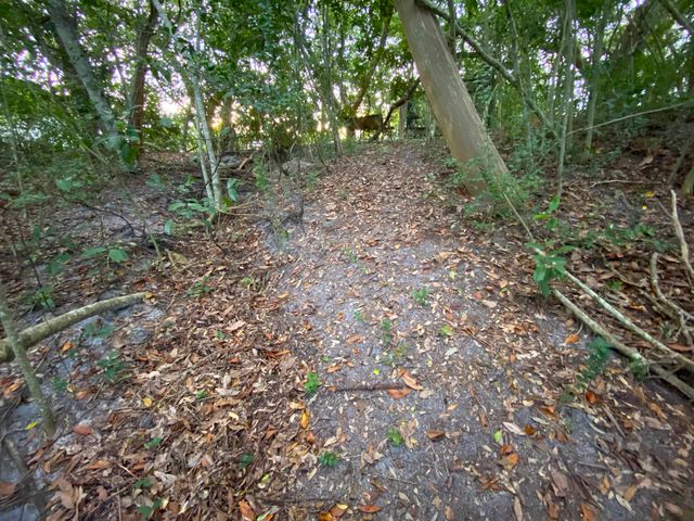 489 Ridgeway Rd, St Augustine, FL 32080