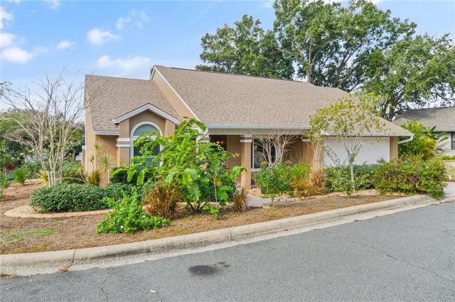 601 CHAUTAUQUA DRIVE, Mount Dora, FL 32757